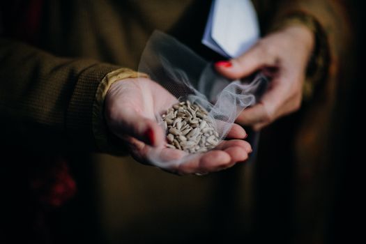 seventeen seeds